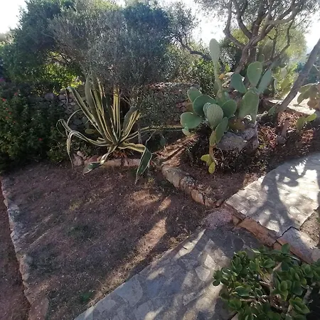 Belvedere Stazzu Pulcheddu Aldeamento Turístico Palau