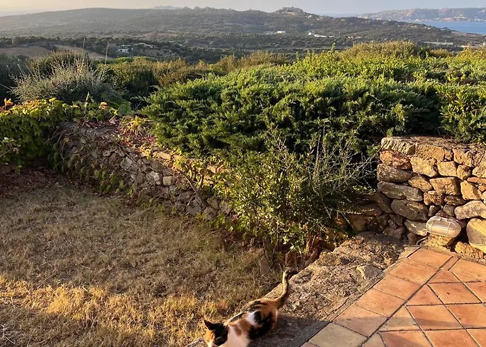 Belvedere Stazzu Pulcheddu Aldeamento Turístico